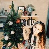 Новогодние товары и игрушки по низким ценам с бесплатной доставкой г.Хабаровск