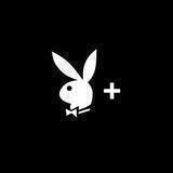 PLAYBOY Premium Videos