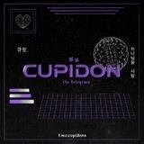 CUPIDON TESTI