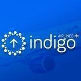 Indigo Airlines：official channel