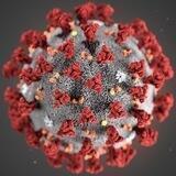Coronavirus-Ticker SARS-CoV-2, Covid-19 Wuhan aktuell - Pandemie länger überleben durch rechtzeitige Information via Telegram