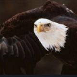 DLEM Latest News 🇺🇸 🍊