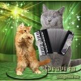 Gheri Songs