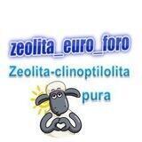 zeolita_euro_foro