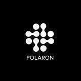 Polaron Official Group