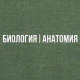 Биология | Анатомия