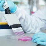Laboratory Education(Elisa & Hormone)