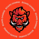 BOARS GAMING