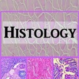 Histology