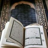 تلاوات بلا مايكات
