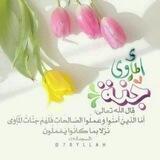 جَنَّةِ الْمَأْوَى 💙🍃