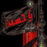 متيمات المهدي ٣١٣