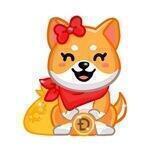 Kabosu Finance KYC|AUDIT