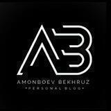 |AMONBOEVBBLOG