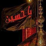 قناه العقيلة زينب ع❤️