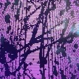 an. is online