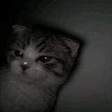 - 𝐤𝐢𝐭𝐚 𝐝𝐚𝐧 𝐭𝐚𝐤𝐝𝐢𝐫
