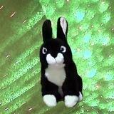 Hase du bleibst hier !!
