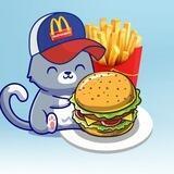 MC CAT