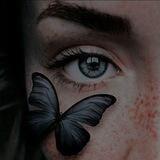 دعم آسيليا 🦋.