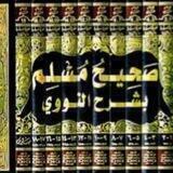 قناة القراءة في شرح صحيح مسلم