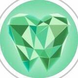 ProDent Concept