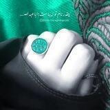 بلسم لجرح الزهراء (ع)