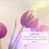 زهـ❀ـرة التـ🌹ـوليـب