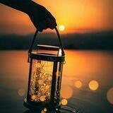 صفحه تخصصی شعر فانوس