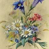 Edelweiss Craft Guild