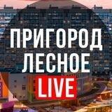 Пригород Лесное LIVE