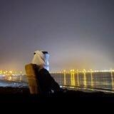 أَسى