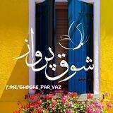 ‹ شوق‌پرواز🌻 ›