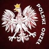 Polski Orzeł