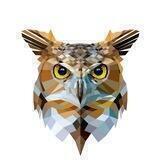 🦉FiliN NFT