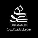 في ظِلال السّنة النَّبويّة