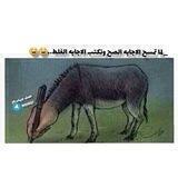 نكت