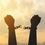 NZ Freedom News