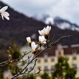 souweure