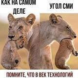 Нерусский РУССКИЙ