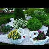 @Gazon_Toshkent_Namangan