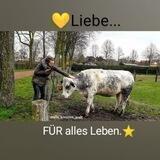 🌰miris_kreative_welt🌻