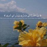 قُرأن |🌼ء