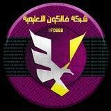 شبكة فالكون التعليمية 𖡃