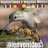 VEGETARIANOS Y VEGANOS MÉXICO 🇲🇽👏❤️☺️☕👍🏻🇲🇽