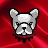 Pitbull Token Türkiye 🇹🇷