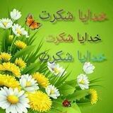 شکرگزاری