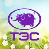 ТЭС сеть АЗС