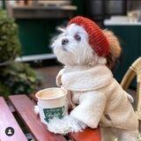 FASHION PAKULA