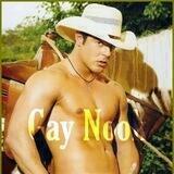 • GAY NOOK •